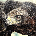 A close-up oil painting of a majestic Golden Eagle's head and intense eye, depicted with rich texture in shades of brown and black feathers.
