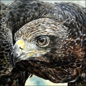 A close-up oil painting of a majestic Golden Eagle's head and intense eye, depicted with rich texture in shades of brown and black feathers.
