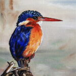 A vibrant oil painting of a Malachite Kingfisher, featuring a bright red beak, deep blue back, and orange chest, perching on a dark stump.